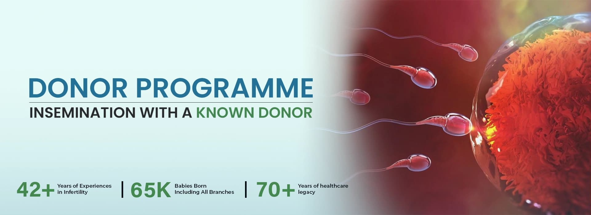 Donor Programme