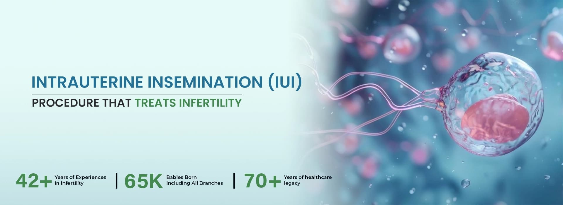 IUI Treatment