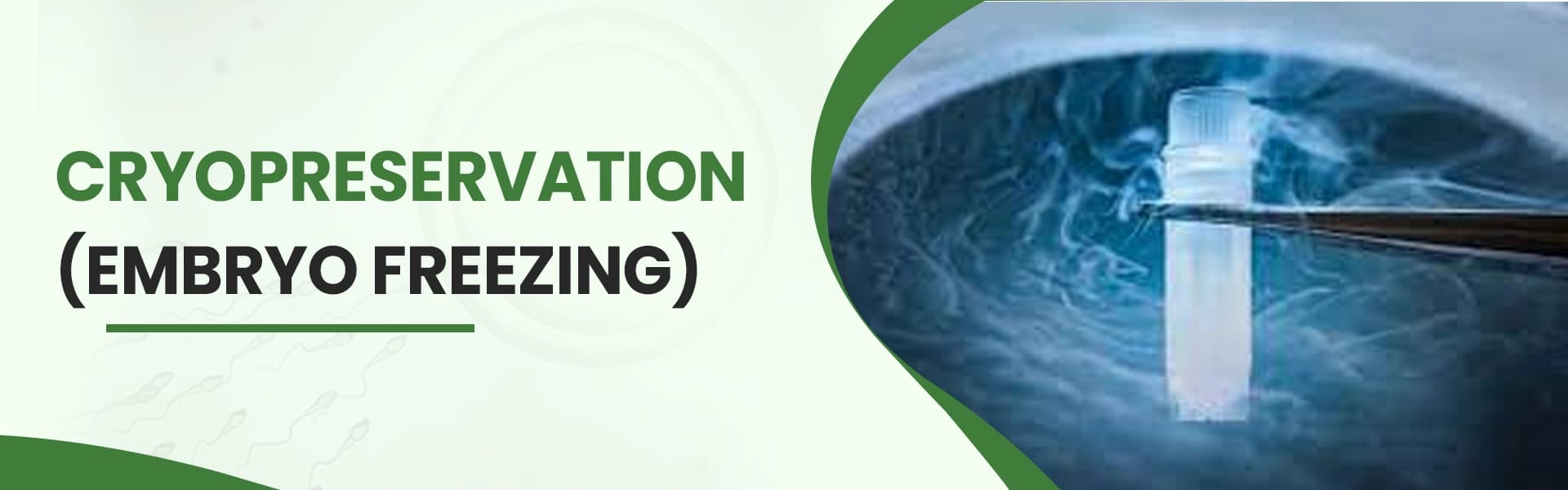 Cryopreservation and embryo freezing procedure