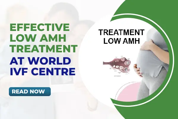 Effective Low AMH Treatment at World IVF Centre: Boost Your Fertility