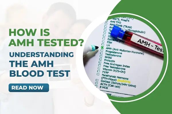 How is AMH Tested? Understanding the AMH Blood Test