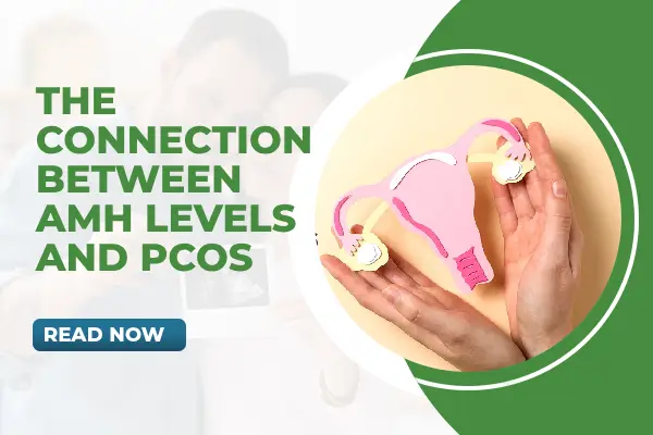 The Connection Between AMH Levels and Polycystic Ovary Syndrome (PCOS)