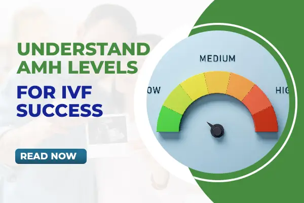 AMH Levels for IVF Success