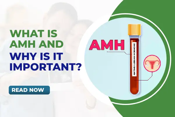 What is Anti-Müllerian Hormone (AMH) and Why is It Important?