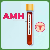 What is Anti-Müllerian Hormone (AMH) and Why is It Important?